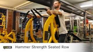 Hammer Strength Seated Row  GymCalccom [upl. by Hallagan]