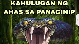 KAHULUGAN NG AHAS SA PANAGINIP [upl. by Annaer256]