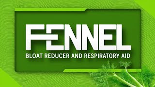 Fennel Bloat Reducer and Respiratory Aid [upl. by Grory]