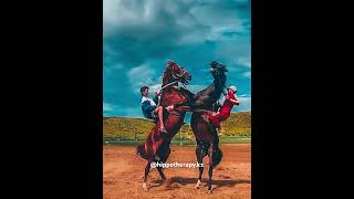 Hippotherapy Horse riding horsevideo horseride horserider horses horse funny sporthorses [upl. by Ardiek371]