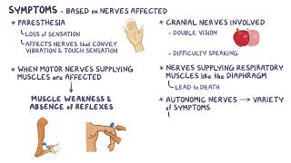 Guillain Barre Syndrome  Osmosis [upl. by Shorter]