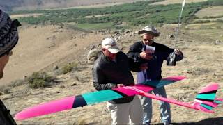 rc glider flutter on dynamic soaring [upl. by Felder]