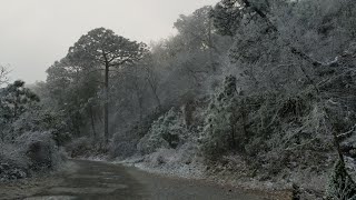 Senderismo Chipinque nevado [upl. by Setiram]