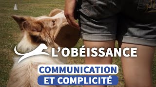 Obéissance canine  une discipline exigeante dans une main de velours [upl. by Czarra789]