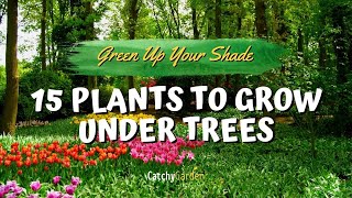 Green Up Your Shade 15 Plants to Grow Under Trees 🌳🌷👍  Garden Tips [upl. by Nalor]