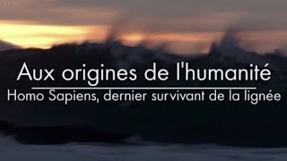 Aux origines de lhumanité  Homo Sapiens dernier survivant de la lignée 33 [upl. by Raskin525]