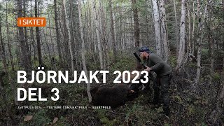 Björnjakt 2023 del 3 [upl. by Coughlin]