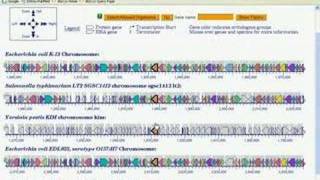 Comparative and Omics Tools in BioCyc Part 4 [upl. by Cirderf]