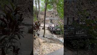 Erawan waterfall waterfall tour food bangkok streetfood kanchanaburi [upl. by Fantasia461]