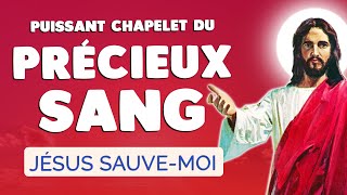 🙏﻿ CHAPELET du PRÉCIEUX SANG de JÉSUS 🙏﻿ Prière Puissante PROTECTION [upl. by Yreme859]