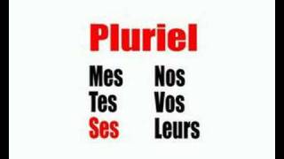 Learn French  Adjectifs possessifs pluriels [upl. by Norrahs]