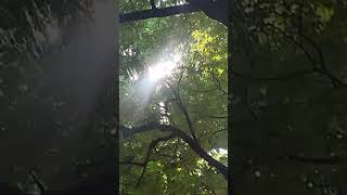 Sun Flash shortsfeed iitmadras shortvideo saiyoganiitmaa [upl. by Ikila363]