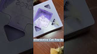 Interactive cat toy box cat petpet catlover [upl. by Ayotna]