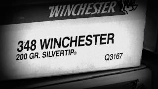 IMR 4831 for 348 Winchester [upl. by Nawtna]