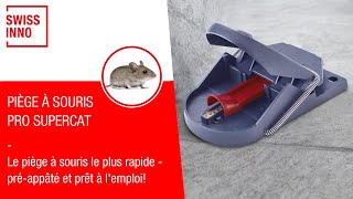 Piège à Souris PRO SuperCat SWISSINNO [upl. by Sy132]