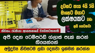 ටෙම්පර්ඩ් ග්ලාස් පැකින් ස්වයං රැකියා  swayan rakiya at home 2024  Tempered Glass Packaging [upl. by Sreip]