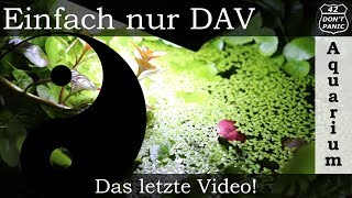 Das letzte Video Einfach nur DAV [upl. by Avlis379]