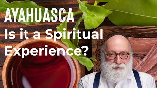 Ayahuasca Is it a Spiritual Experience [upl. by Nanah326]