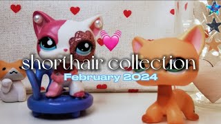 ♡ My LPS Shorthair Cat Collection ♡ [upl. by Whitehurst]