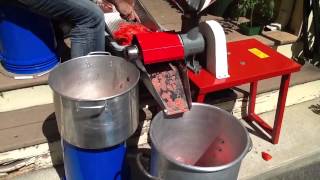 Processing tomatoes  removing water from tomatoes  canning tomato sauce [upl. by Ahsihat]