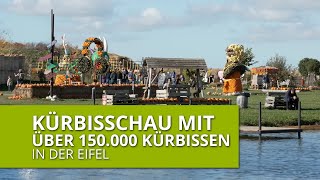 Kürbisschau mit über 150000 Kürbissen [upl. by Romola]