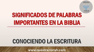 SIGNIFICADOS DE PALABRAS IMPORTANTES EN LA BIBLIA con subtítulos [upl. by Idur335]