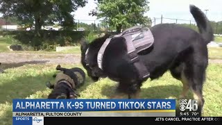 Alpharetta K9 Officers go viral on TikTok [upl. by Cirtap961]