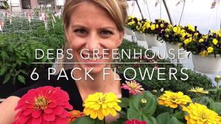 6 Pack Flowers with Debs Greenhouse [upl. by Korb682]