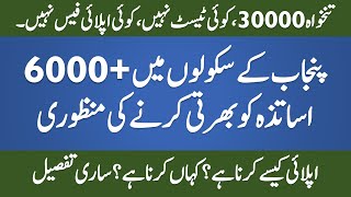 Punjab Educators Jobs 2021  Latest Jobs in Pakistan  STI Jobs 2021 [upl. by Charteris715]