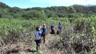 Wiederbewaldung  Reforestation Finca Amable Costa Rica 2013 [upl. by Soirtemed44]