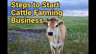 Cattle Farming Business Plan  How to Start a Cattle Farm [upl. by Ateekahs]