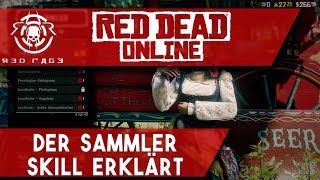 Red Dead Online  Der Sammler Skill Erklärt [upl. by Noisla319]