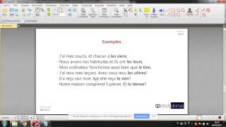 Determinantes e pronomes possessivos  Francês para o CACD [upl. by Ayiram]