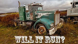 Saved from the CRUSHER Will this ABANDONED Kenworth w900a ever run again [upl. by Carr]