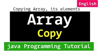 Copying Array and its Elements  Java Programming [upl. by Meluhs845]