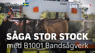 Såga stor stock med B1001 Bandsågverk  LOGOSOL LIVE [upl. by Myrtie]