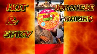 HOT amp SPICY JAPANESE RAMEN [upl. by Sonnie491]