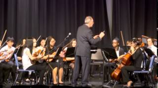 Bedford Vertical Orchestra Concert 2014 [upl. by Enaz]