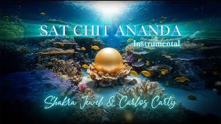 SAT CHIT ANANDA INSTRUMENTALS [upl. by Ahseinar649]