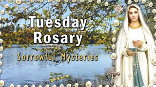 TUESDAY Rosary  Sorrowful Mysteries with the Prayer Team Scriptural Meditations VIRTUAL [upl. by Assirram]