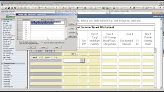 ProSeries Professional Tax Software Tracking Missing Information [upl. by Yrannav]