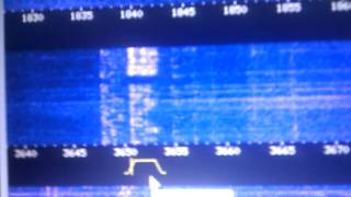 WebSDR  SP3PGX [upl. by Fisher]