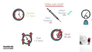 Types of Insulin and How It Works [upl. by Hukill722]