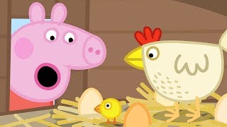 Peppa Wutz 🐣 Die Hühner von Oma Wutz  Peppa Pig Deutsch Neue Folgen  Cartoons für Kinder [upl. by Morganica]