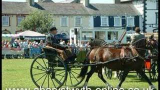 Horses amp Ponies at Aberaeron Show [upl. by Okwu]