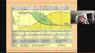 demographic transition model for cultural geography class with Mrs T [upl. by Ode933]