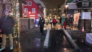 Reykjavik Winter Walking Tour Journey Through Icelands Capital [upl. by Elysia]