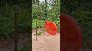 Creative Parrot Trap Using Basket youtubeshorts [upl. by Jollanta]