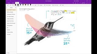 How to Become a Microsoft Onenote Expert  Detailed Tutorial Onenote [upl. by Tommie]