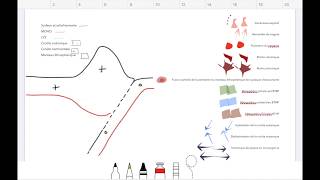 BAC SVT 🌋 GÉOLOGIE  Schéma bilan subduction [upl. by Mosira]